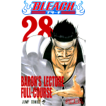 Manga Bleach Τόμος 28 (English)