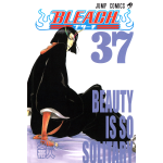 Manga Bleach Τόμος 37 (English)