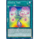 Crystal Tree (SDCB-EN024) - 1st Edition