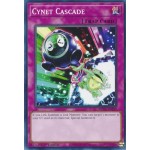 Cynet Cascade (MP22-EN249) - 1st Edition