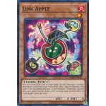 Link Apple (MP22-EN180) - 1st Edition