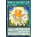 Naturia Blessing (DABL-EN064) - 1st Edition