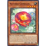 Naturia Camellia (DABL-EN021) - 1st Edition