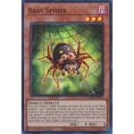 Baby Spider (BLMR-EN045) - 1st Edition