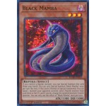 Black Mamba (BLMR-EN019) - 1st Edition