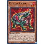 Evoltile Pholis (DUNE-EN017) - 1st Edition