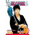 Manga Bleach Τόμος 30 (English)