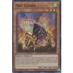 Oily Cicada (BLCR-EN027) - 1st Edition