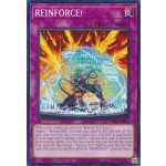 REINFORCE! (CYAC-EN075) - 1st Edition