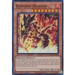 Burning Dragon (AGOV-EN094) - 1st Edition