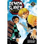 Manga Demon Slayer Τόμος 3 (English)