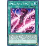 Basal Rose Shoot (LIOV-EN059) - 1st Edition