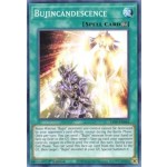 Bujincandescence (LIOV-EN062) - 1st Edition