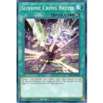 Sunvine Cross Breed (LIOV-EN099) - 1st Edition