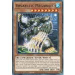 Ursarctic Megabilis (ANGU-EN032) - 1st Edition