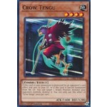 Crow Tengu (DIFO-EN094) - 1st Edition