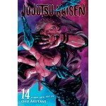 Manga Jujutsu Kaisen Τόμος 14 (English)