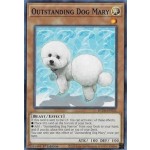 Outstanding Dog Mary (BODE-EN035) - 1st Edition