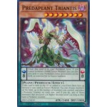 Predaplant Triantis (DIFO-EN019) - 1st Edition