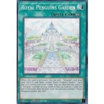 Royal Penguins Garden (BODE-EN063) - 1st Edition