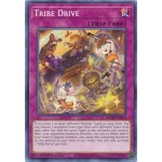 Tribe Drive (BACH-EN078) - 1st Edition