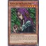 Witch of the Black Forest (SDCK-EN024) - 1st Edition