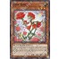 Rose Girl (MP21-EN088) - 1st Edition