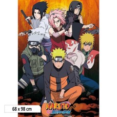 Αφίσα Naruto Group (61x91)