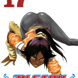 Manga Bleach Τόμος 17 (English)