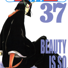 Manga Bleach Τόμος 37 (English)