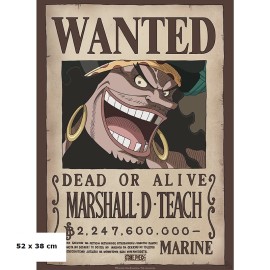 Αφίσα Marshall D. Teach (52x38)