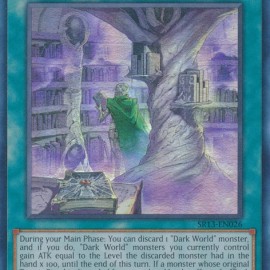 Dark World Archives (SR13-EN026) - 1st Edition