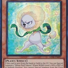 Dandy Whitelion (LEDE-EN097) - 1st Edition