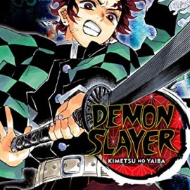 Manga Demon Slayer Τόμος 10 (English)