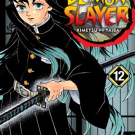 Manga Demon Slayer Τόμος 12 (English)