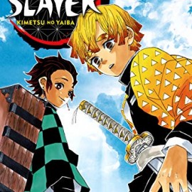 Manga Demon Slayer Τόμος 3 (English)