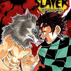 Manga Demon Slayer Τόμος 4 (English)