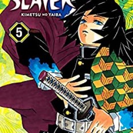 Manga Demon Slayer Τόμος 5 (English)