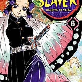 Manga Demon Slayer Τόμος 6 (English)