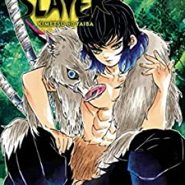 Manga Demon Slayer Τόμος 7 (English)