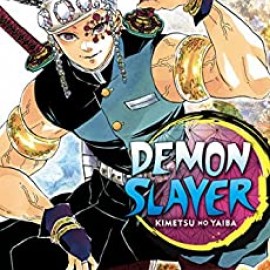 Manga Demon Slayer Τόμος 9 (English)