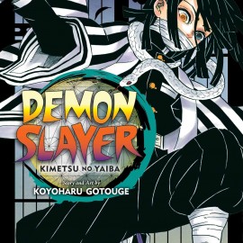 Manga Demon Slayer Τόμος 19 (English)