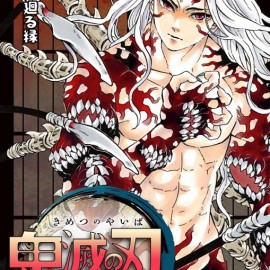 Manga Demon Slayer Τόμος 22 (English)