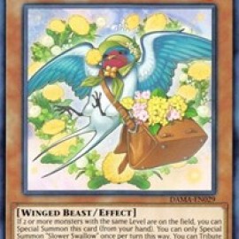 Slower Swallow (DAMA-EN029) - 1st Edition